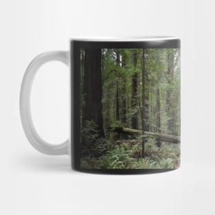 California Redwoods Mug